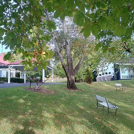 Moore Park Inn Armidale Zewnętrze zdjęcie