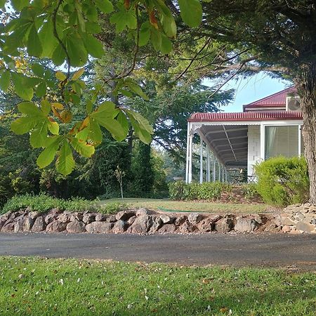 Moore Park Inn Armidale Zewnętrze zdjęcie
