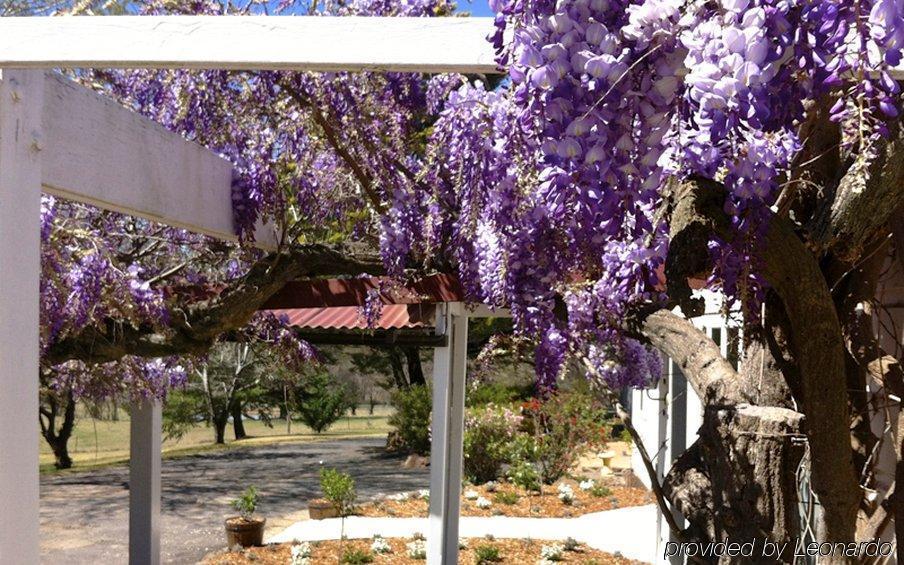 Moore Park Inn Armidale Zewnętrze zdjęcie