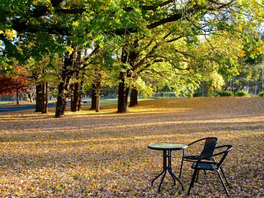 Moore Park Inn Armidale Zewnętrze zdjęcie