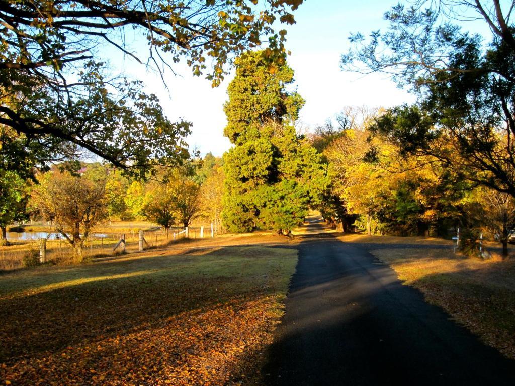 Moore Park Inn Armidale Zewnętrze zdjęcie