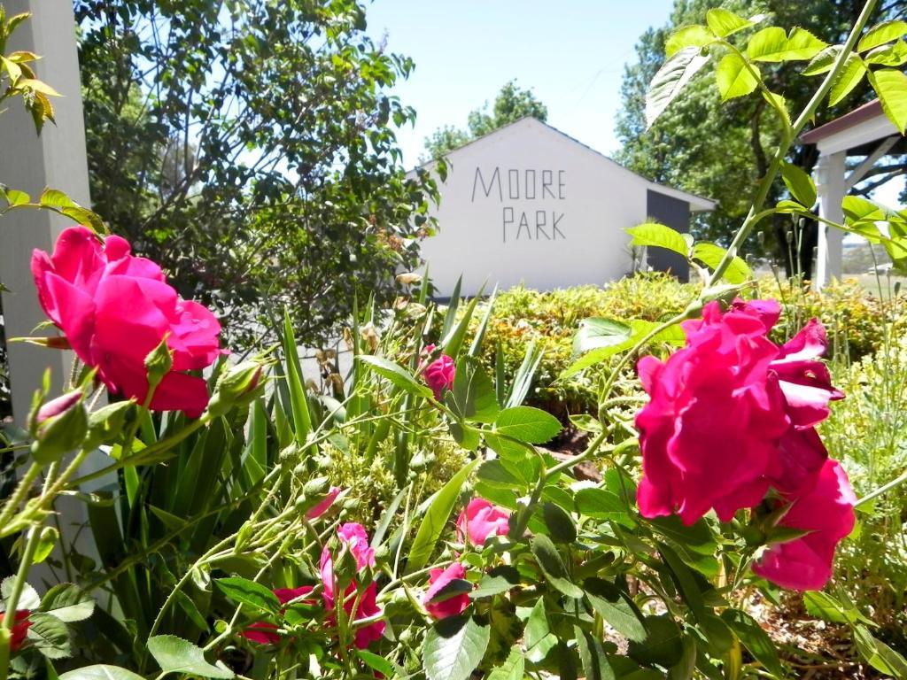 Moore Park Inn Armidale Zewnętrze zdjęcie